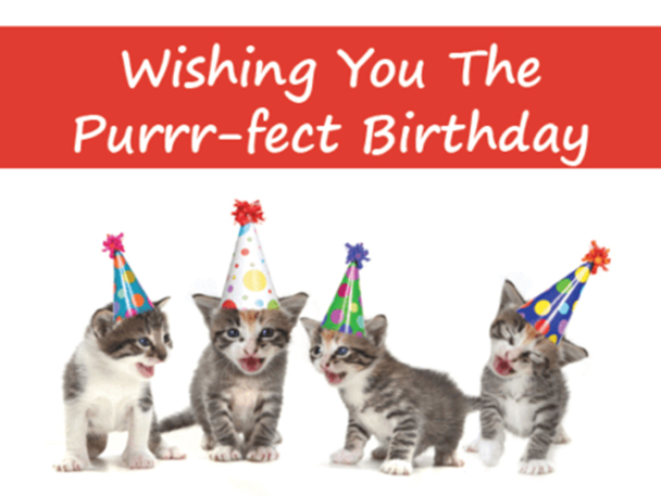 digital card with photo of cat, card says "Wishing You The Purrr-fect Birthday"