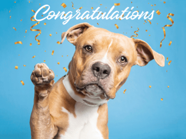digital card with photo of dog, card says "Congratulations"