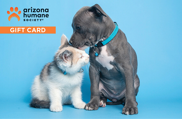 Image of AHS Gift Cards