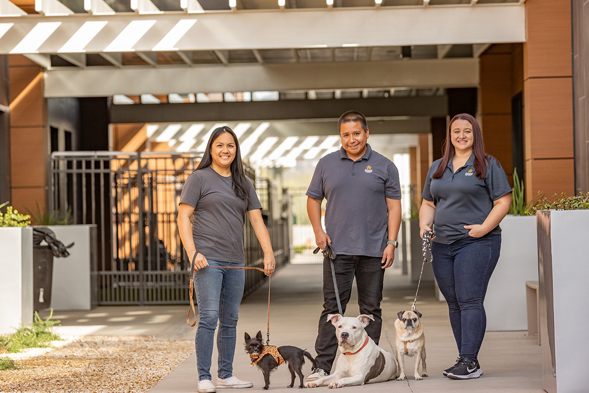 Three Arizona Humane Society employees standing outside building with three dogs
