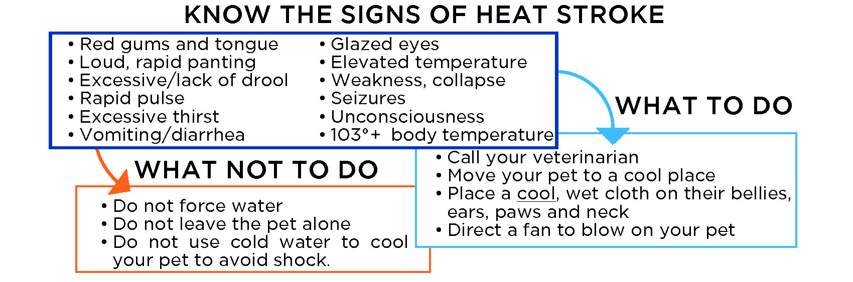 Heat-Summer Pet Safety Infographic