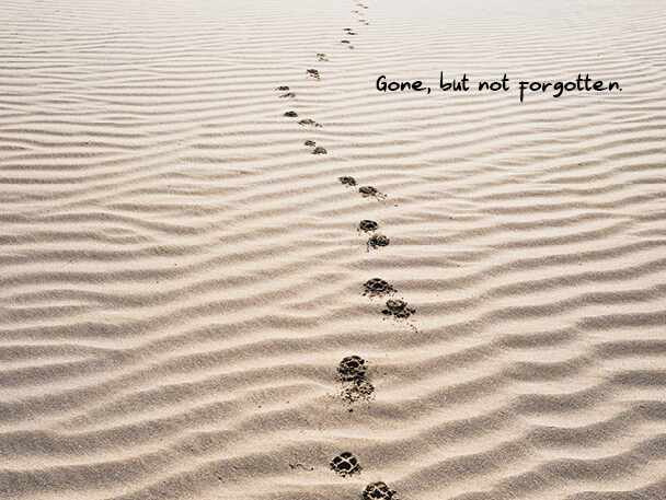 Image of Tribute Cards