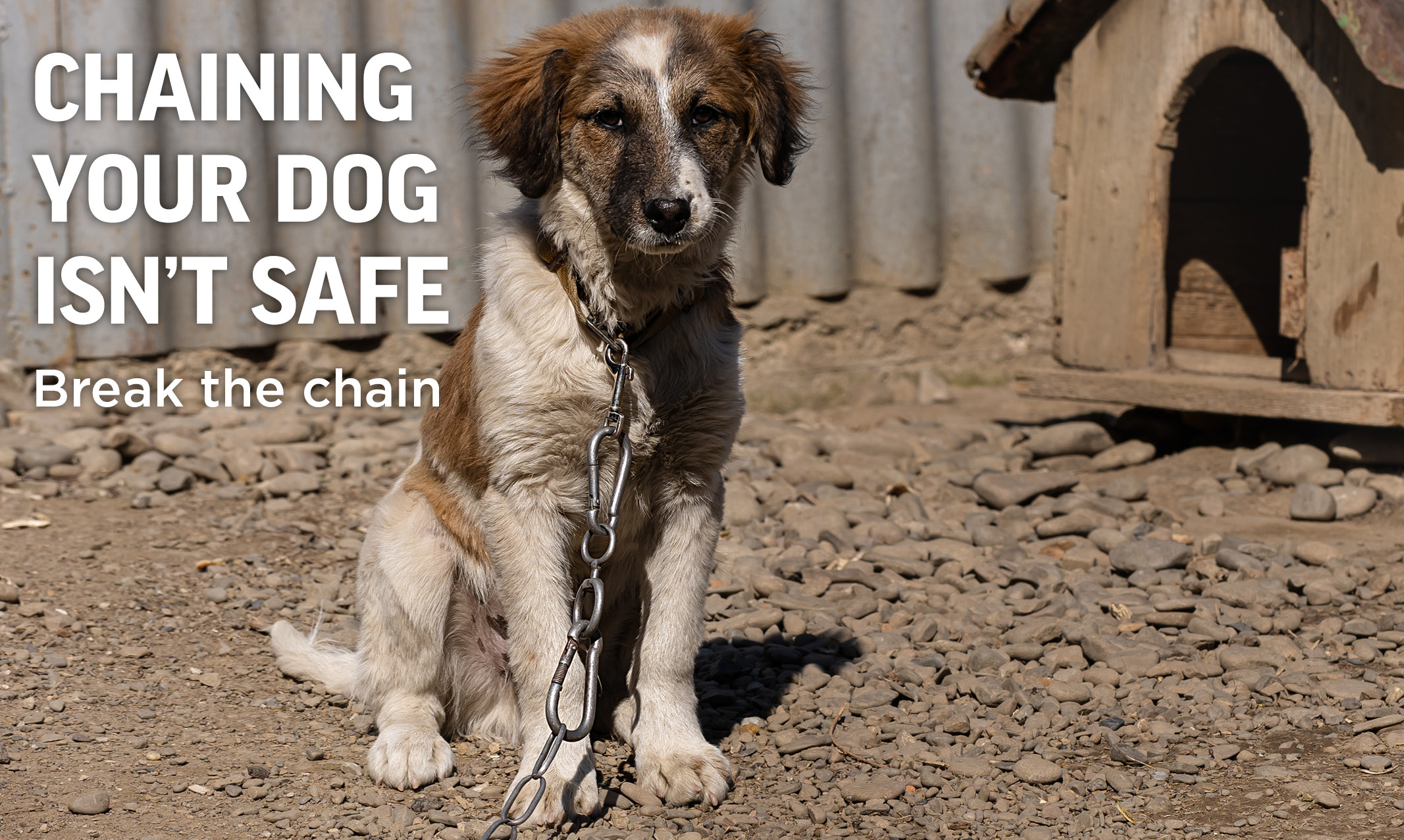 Tethering Campaign - Break the Chain