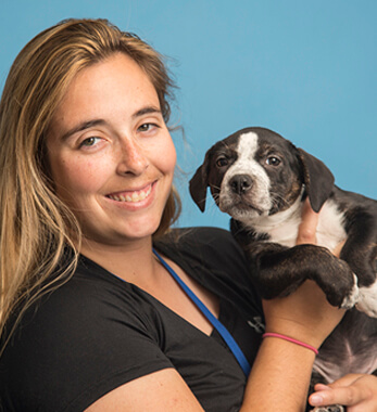 Image of Kayla Anderson, CCBS, CBCC-KA, CPDT-KA, CTDI