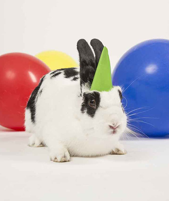 Image of Virtual Birthday Shout-Out