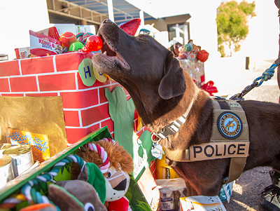 Scottsdale Police Dog Chase