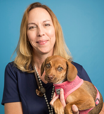 Image of Kathleen Croteau, DVM