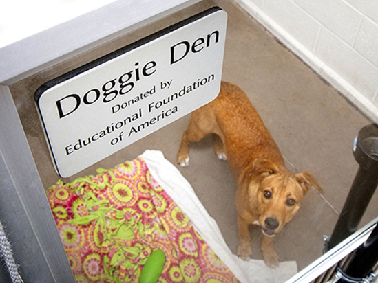 Image of Naming Opportunities