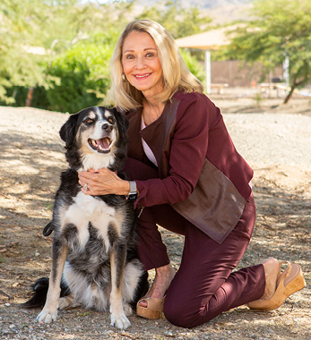 Image of Suzanne Hensing, Vice Chair