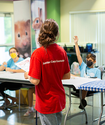 Image of Junior Camp Counselors