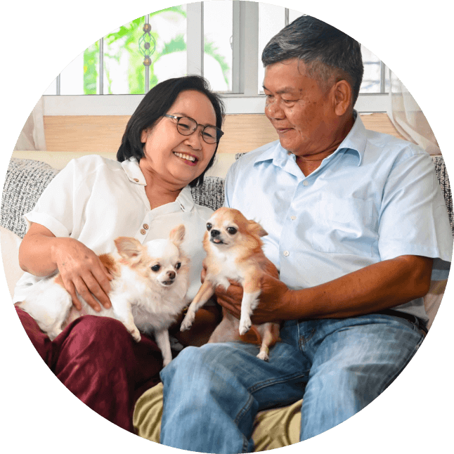 a family with two small dogs