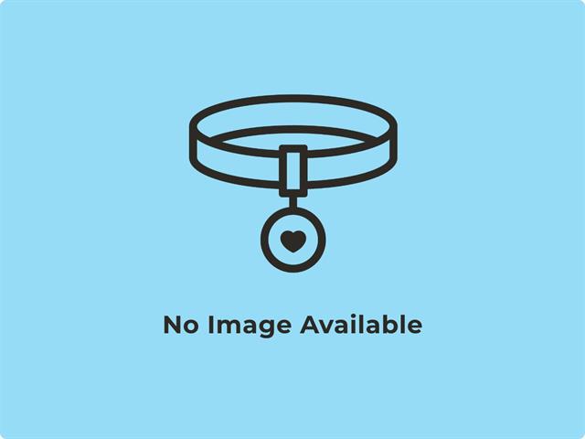 Image of Samantha Thompson, ABCDT