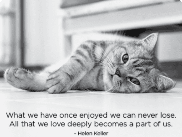 Image of Tribute eCards