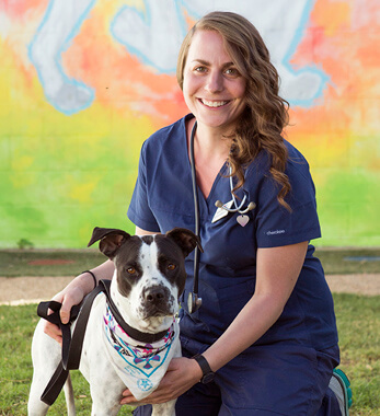 Image of Meredith Quintana, DVM