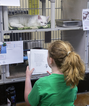 Image of Read to Pets with Reading Fur Fun