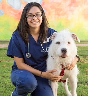 Image of Julia Schuab, DVM