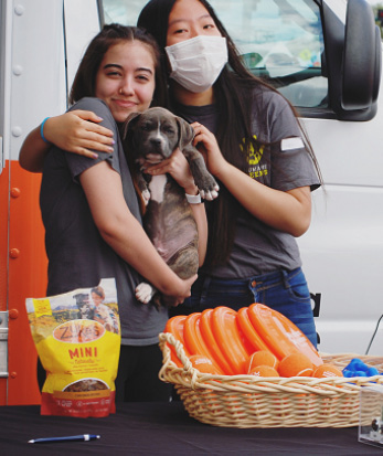 Image of Humane Teens Volunteer Group