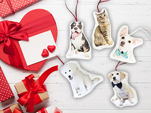 Petsunami Pet Photo Ornaments