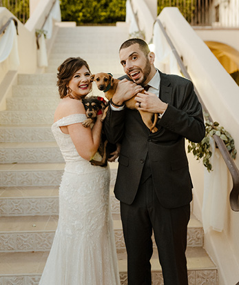 Image of Book Pets for Weddings